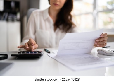 Tax Accountant Ledger Public Record And Budget