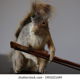 Taxidermy Squirrel Holding Painting Brushes. Vegan Theme