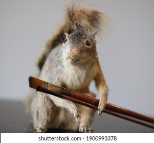 Taxidermy Squirrel With Painting Brushes. Vegan Theme