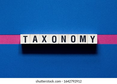 Taxonomy Word Concept On Cubes