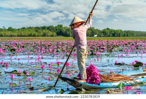 16 Mena Region Growth Images, Stock Photos & Vectors | Shutterstock