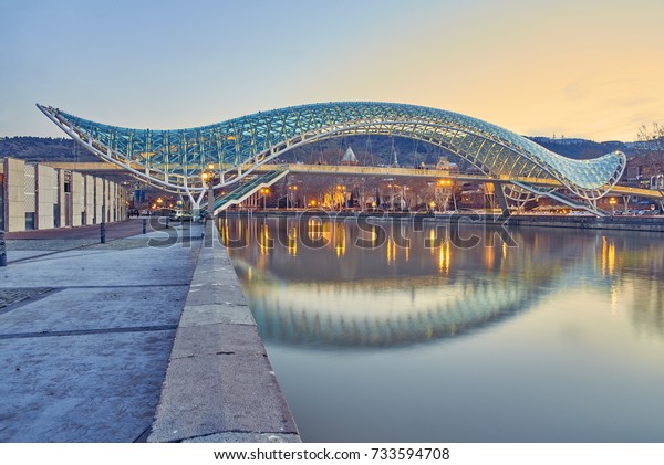 Tbilisi Georgia March 5 2016 Bridge Stock Photo 733594708 | Shutterstock