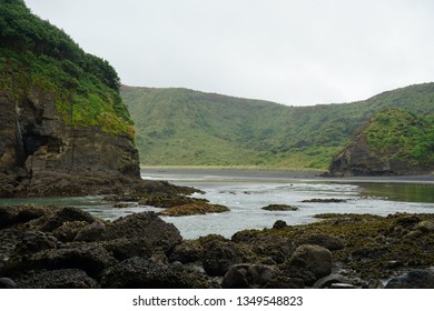 Te Henga (Bethells Beach)