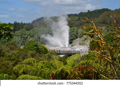 Te Puia Rotorua New Zealand Dec 2014