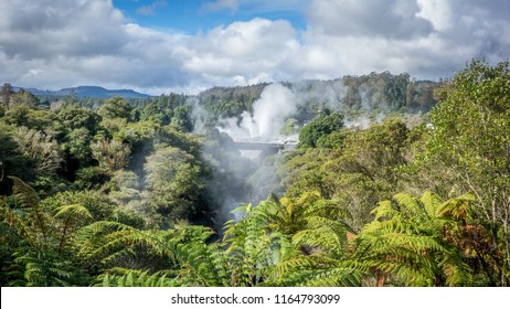 Te Puia Thermal Park. Rotorua Town, New Zealand.