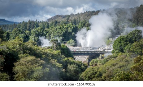 Te Puia Thermal Park. Rotorua Town, New Zealand.