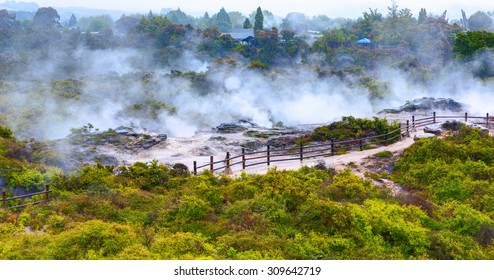 Te Puia Thermal Park. Rotorua Town, New Zealand.