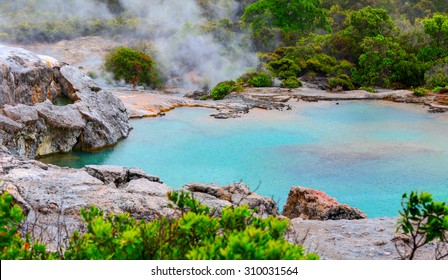 Te Puia Thermal Park. Rotorua Town, New Zealand.