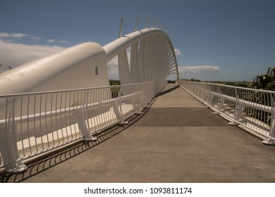 Te Rewa Rewa Bridge