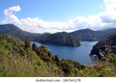 Te Urewera National Park New Zealand