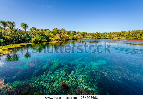 Te Waikoropupu Springs Pupu Springs Golden Stock Photo Edit Now