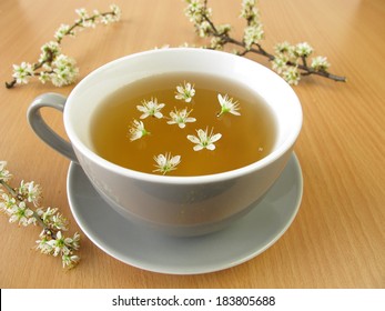 Tea With Blackthorn Flowers