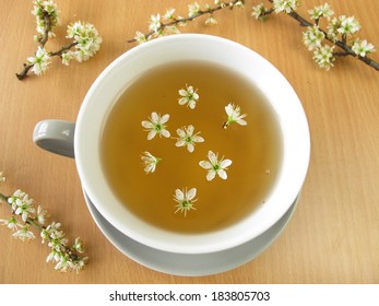 Tea With Blackthorn Flowers