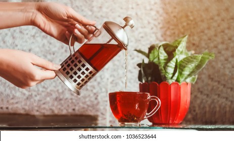 tea brewer. cup of hot tea. women's hands pour tea. - Powered by Shutterstock