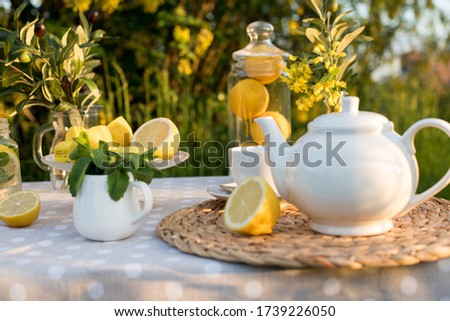 Tea concept, light cup with tea and white teapot decorated with lemons and oliva blooming yellow spring in the garden, top view. Teatime - Relax With Hot Tea In Zen Garden