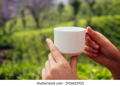 Tea Cup In Female Hands Backgrounds Of Mountains With Green Plant Morning In India Kerala Munnar