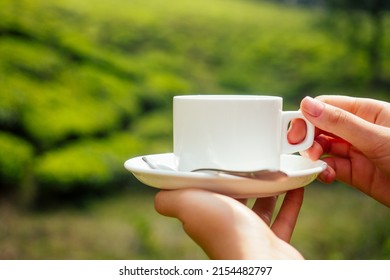 Tea Cup In Female Hands Backgrounds Of Mountains With Green Plant Morning In India Kerala Munnar