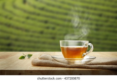 Tea cup with organic green tea leaf on the wooden table and the tea plantations background