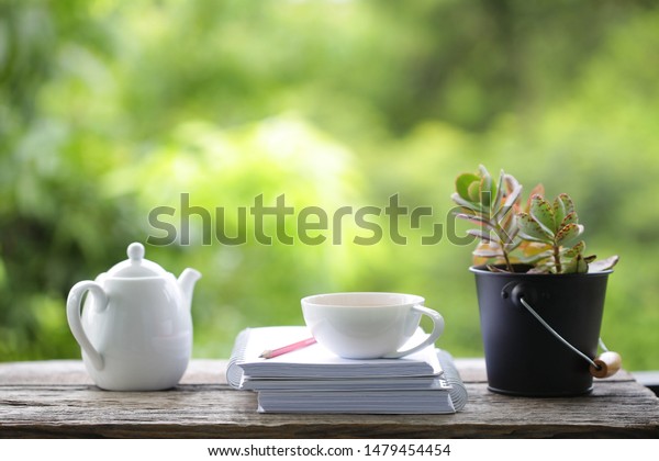 Tea Cup Tea Pot Small Plant Stock Photo Edit Now 1479454454