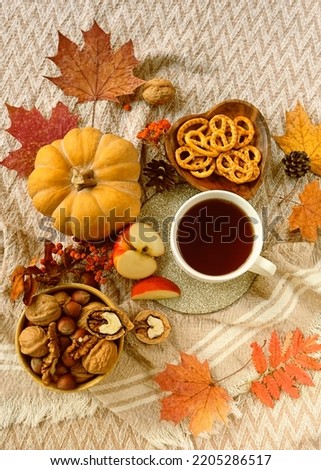 tea cup, pumpkin, apples, pretzels, nuts and autumn leaves on plaid. autumn background. home cozy composition with food. fall season tea party, harvest concept. top view