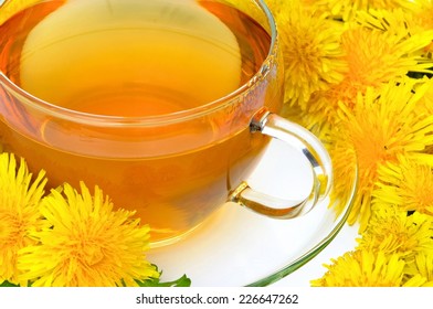 Tea Dandelion 