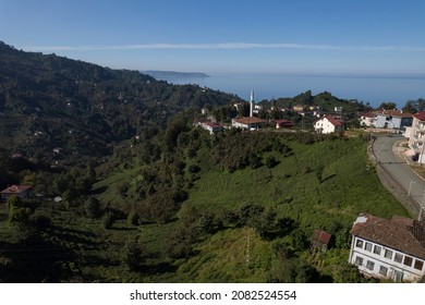 Tea Gardens Drone Photo Surmene Trabzon Turkey