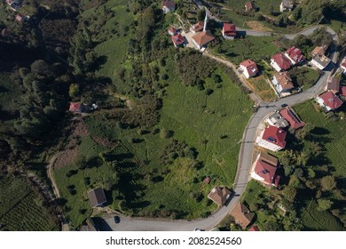 Tea Gardens Drone Photo Surmene Trabzon Turkey