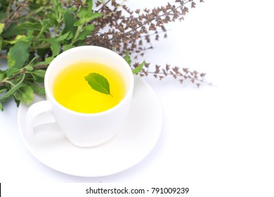 Tea Of Holy Basil In Cup Isolated On White Background,Ocimum Sanctum, Tulsi Plant