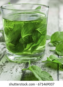 Tea Infusion With Water Mint