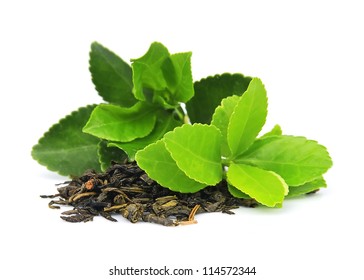 Tea leaves on a white background - Shutterstock ID 114572344