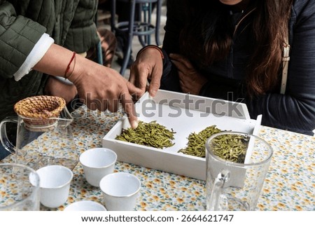 Tea master grading the freshly processed longjing tea leaves into different quality before packing them for sale.