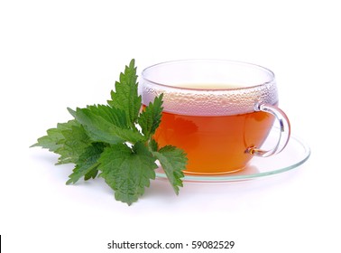 Tea Nettle