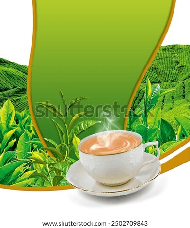 Tea Packaging Deisgn Template isolated on white background