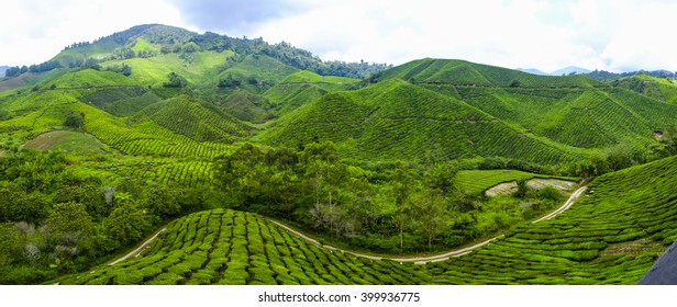 28,708 Cameron highlands malaysia Images, Stock Photos & Vectors ...