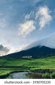 Tea Plantation On The Hill Of Mount Dempo - Pagar Alam, South Sumatra