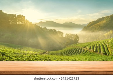 Tea plantation on hill view with empty wooden table top. Product display background concept. Doi Ang Khang, Chiang Mai, Thailand.