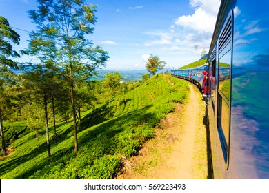 Tea Plantation View And Neat Green Tea Plants Seen From Side Exterior Of Passenger Train Curving Ahead In Hill Country On A Blue Sky Day In Haputale, Sri Lanka. Horizontal