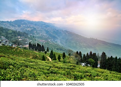 Darjeeling Images Stock Photos Vectors Shutterstock Images, Photos, Reviews