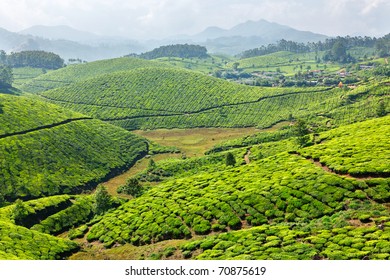 Tea Plantations Munnar Kerala India Stock Photo 70875619 