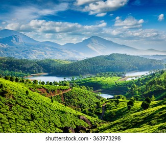 Tea plantations and Muthirappuzhayar River in hills near Munnar, Kerala, India - Powered by Shutterstock - Get 15% off with code: PIKWIZARD15