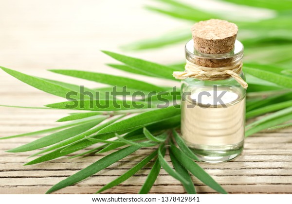 Tea tree essential oil in the galss bottle, on the\
wooden board
