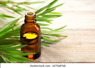 tea tree oil in the amber glass bottle and fresh tea tree leaves