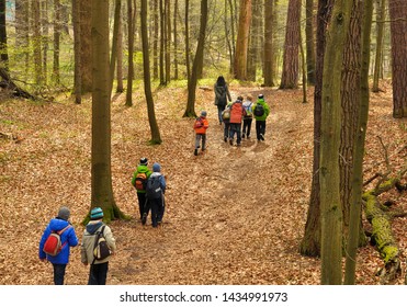 Teacher and children go to the forest for a school trip - Powered by Shutterstock