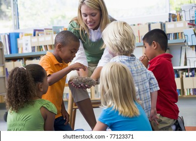 Teacher in class showing students a nest - Powered by Shutterstock