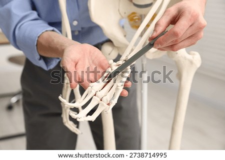 Teacher demonstrating human skeleton model in classroom, closeup. Anatomy lesson