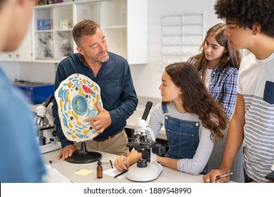 Teacher explaining cell model to college students in science lab. Biology professor teaching to girls and guys in school the cell structure. High school students understanding bio structure in school. - Shutterstock ID 1889548990