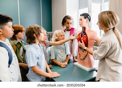 Teacher explaining showing internal organs at the educational dummy manikin at the biology lesson class. Anatomy lesson at school - Powered by Shutterstock