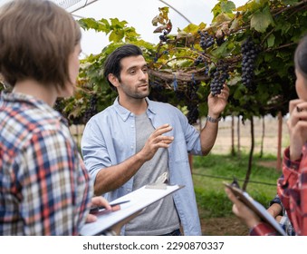 Teacher with a group of students in agronomy looking at vegetation in grape plant greenhouse. - Shutterstock ID 2290870337