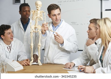 Teacher With Model Of Human Skeleton In Biology Class - Powered by Shutterstock