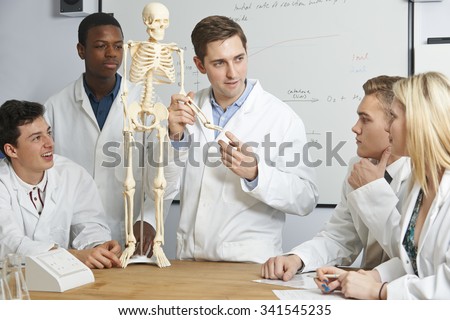 Teacher With Model Of Human Skeleton In Biology Class